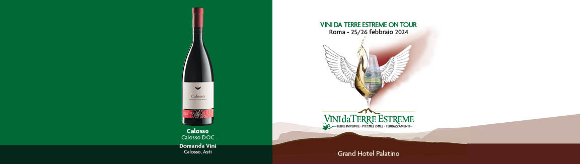 Domanda Vini – Calosso, Asti