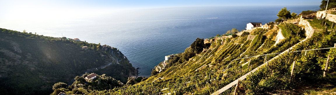 al via la Quinta Edizione di Vini da Terre Estreme