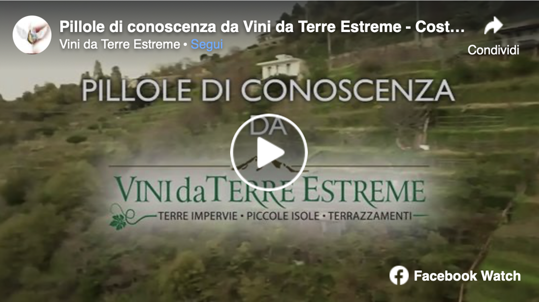 anteprima Pillole di Conoscenza Costa Viola