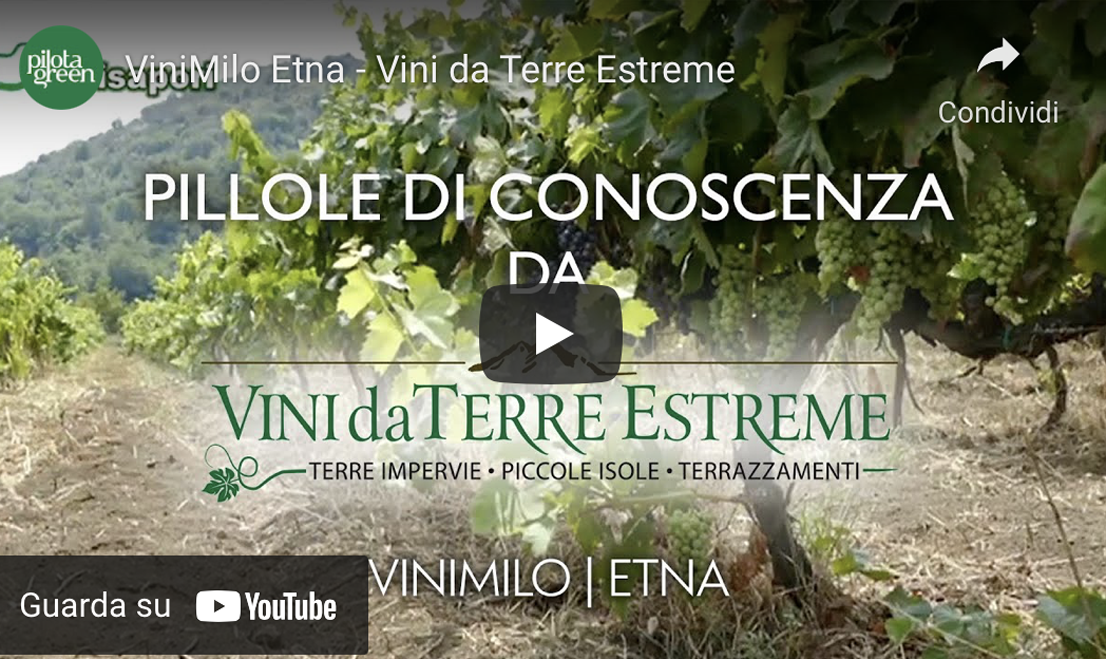 anteprima Pillole di Conoscenza Etna