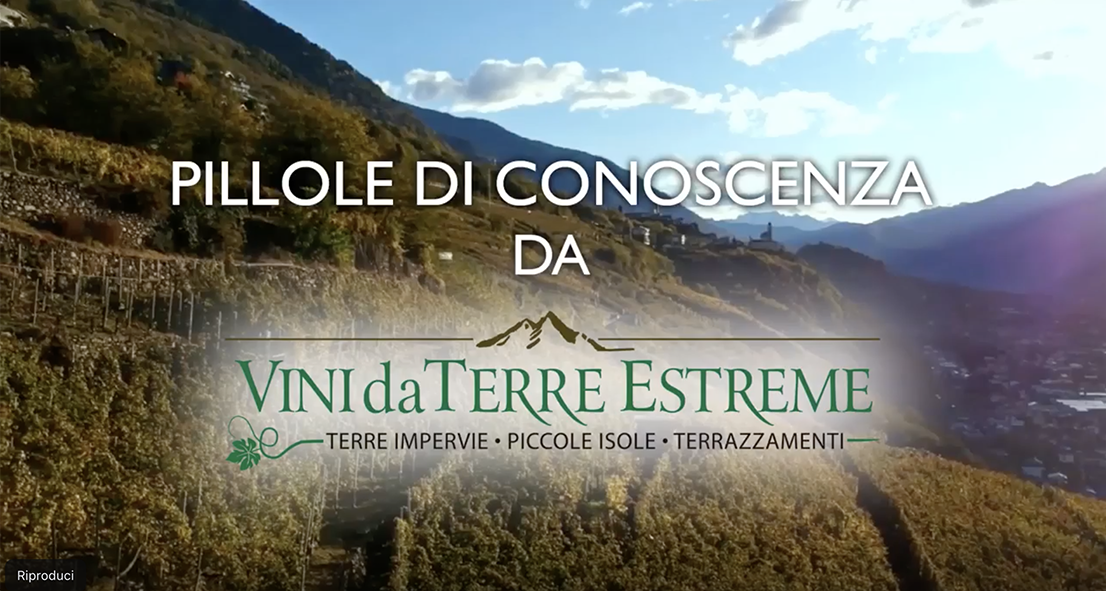 anteprima Pillole di Conoscenza Valtellina