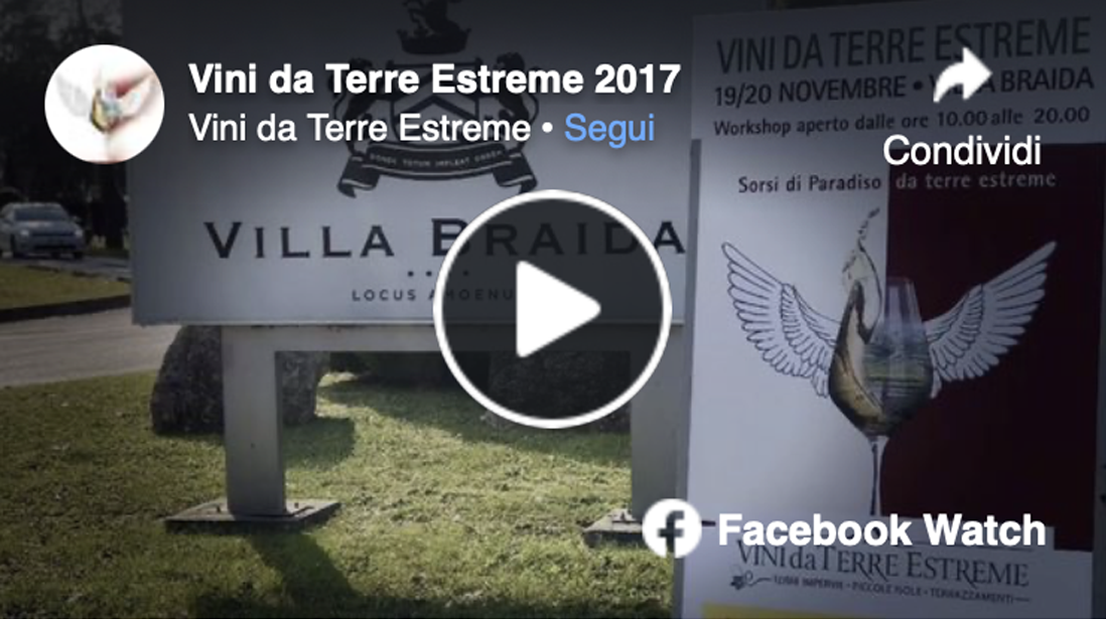 anteprima Pillole di Conoscenza Costa Viola